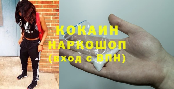 гидра Аркадак