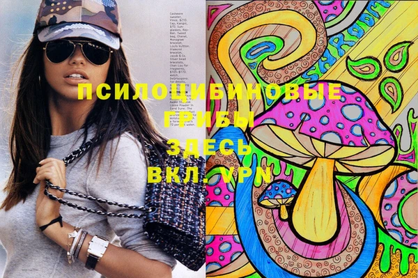мдпв Армянск