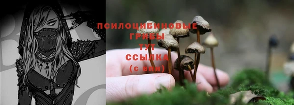 прущие грибы Арсеньев