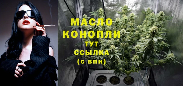 гидра Аркадак