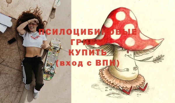прущие грибы Арсеньев