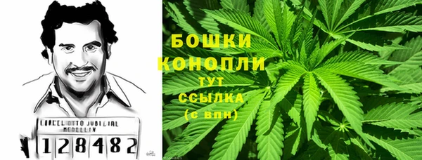прущие грибы Арсеньев