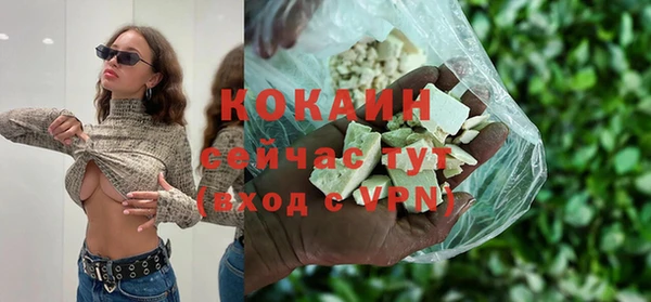 гидра Аркадак