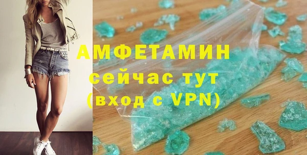 гидра Аркадак