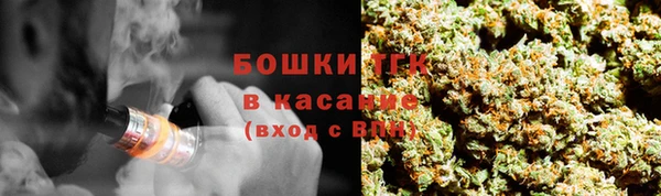 прущие грибы Арсеньев