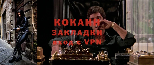 прущие грибы Арсеньев